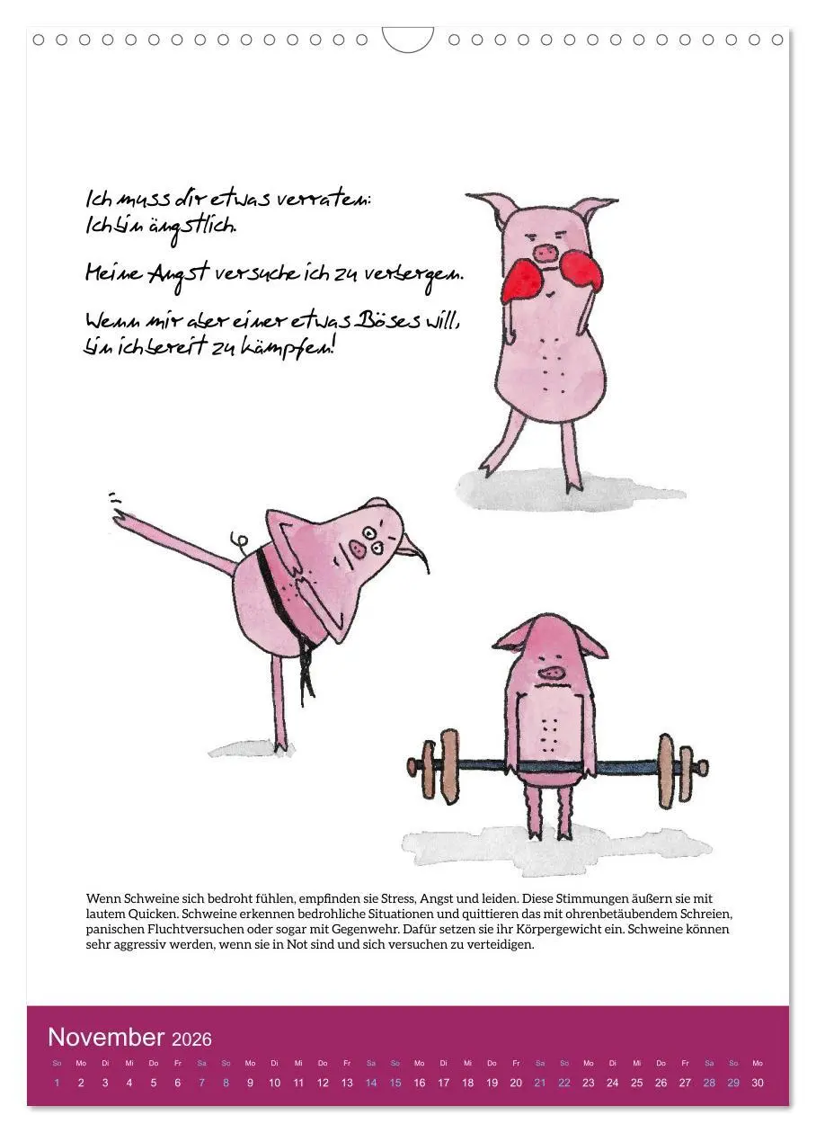 Bild: 9783516321722 | Schweinekalender - Alles was du über Schweine wissen wolltest!...
