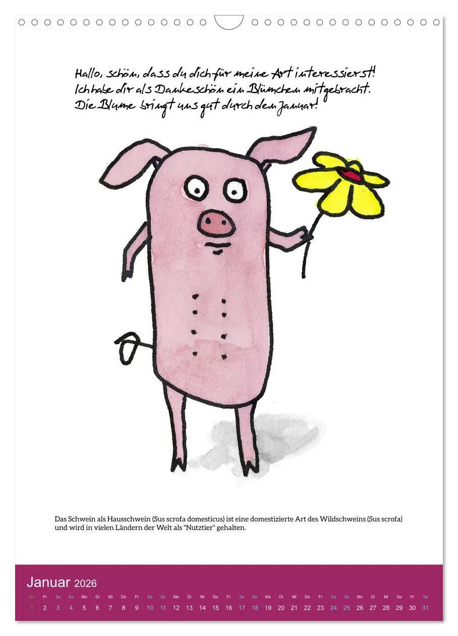 Bild: 9783516321722 | Schweinekalender - Alles was du über Schweine wissen wolltest!...