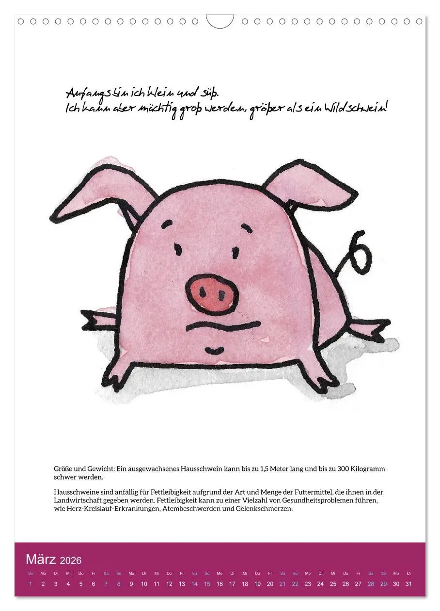Bild: 9783516321722 | Schweinekalender - Alles was du über Schweine wissen wolltest!...