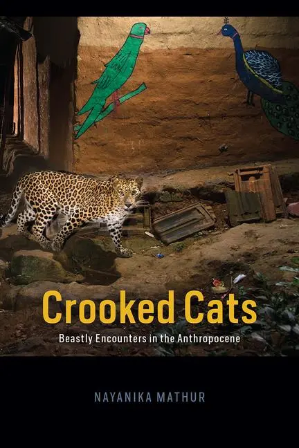 Cover: 9780226771922 | Crooked Cats | Beastly Encounters in the Anthropocene | Mathur | Buch