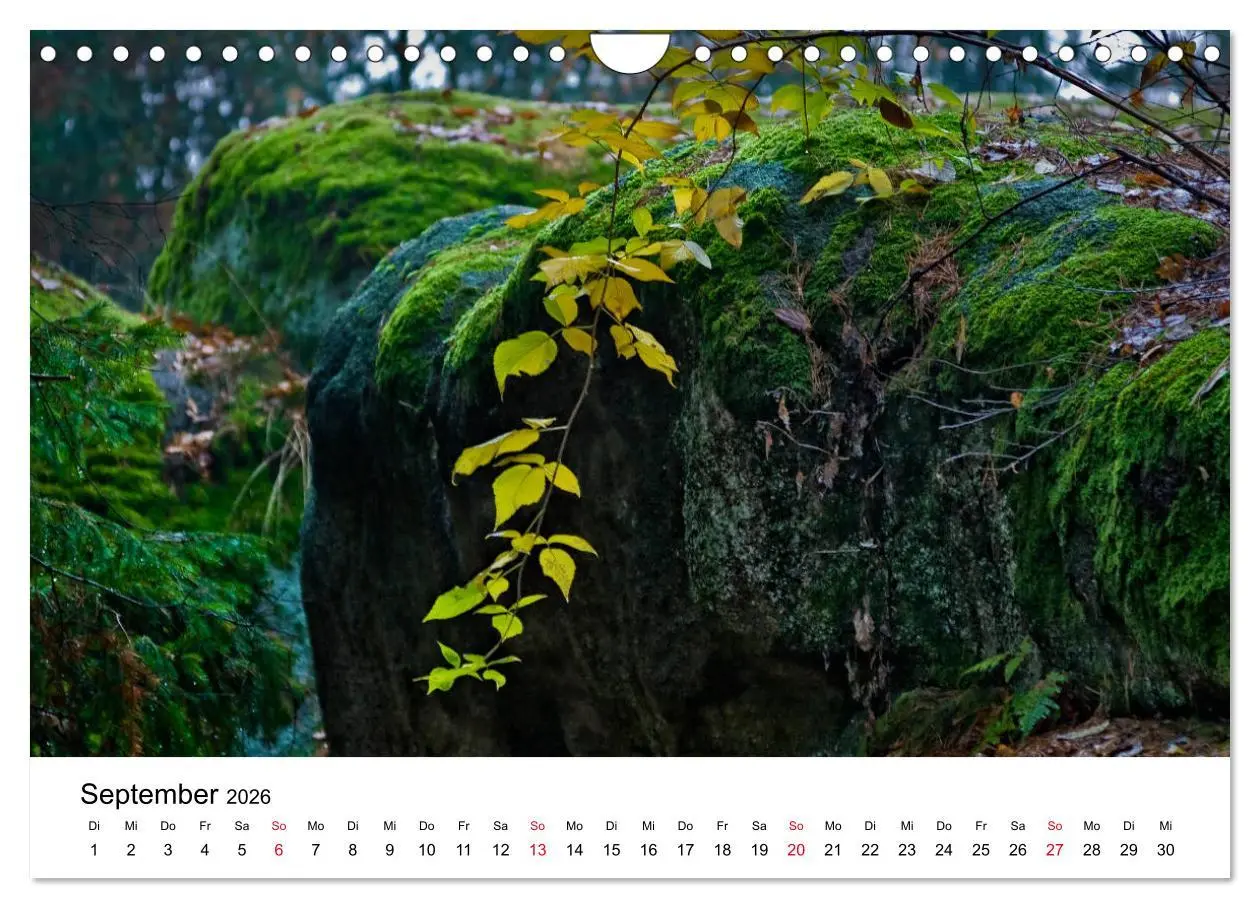 Bild: 9783457831922 | Granitwelten im Waldviertel (Wandkalender 2026 DIN A4 quer),...