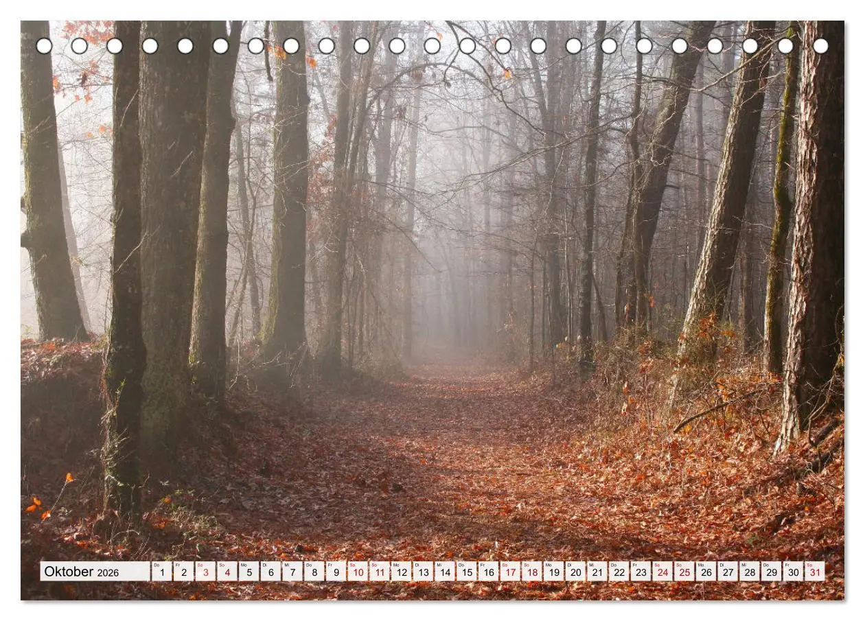 Bild: 9783457901922 | Göttererwachen. Die Natur im mystischen Nebel (Tischkalender 2026...