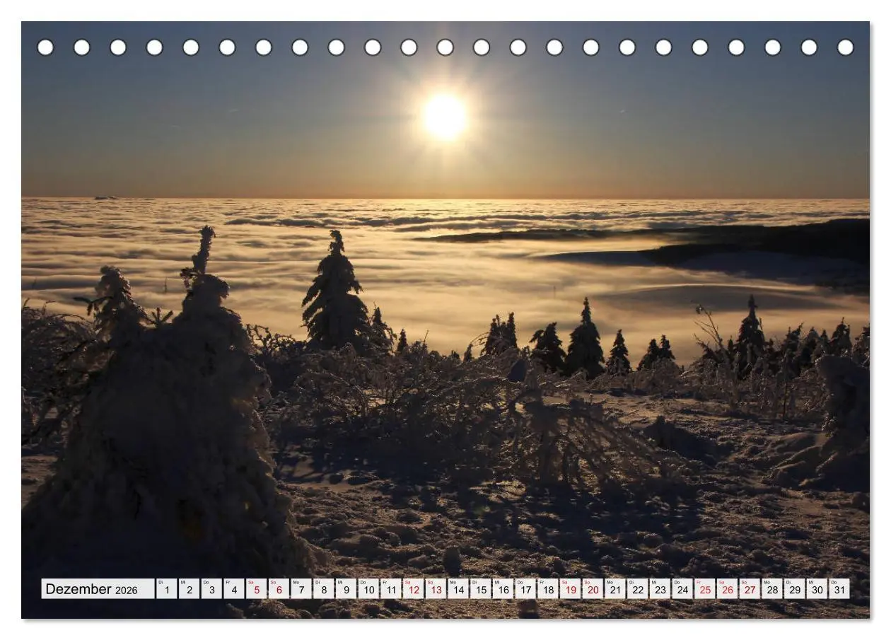 Bild: 9783457901922 | Göttererwachen. Die Natur im mystischen Nebel (Tischkalender 2026...