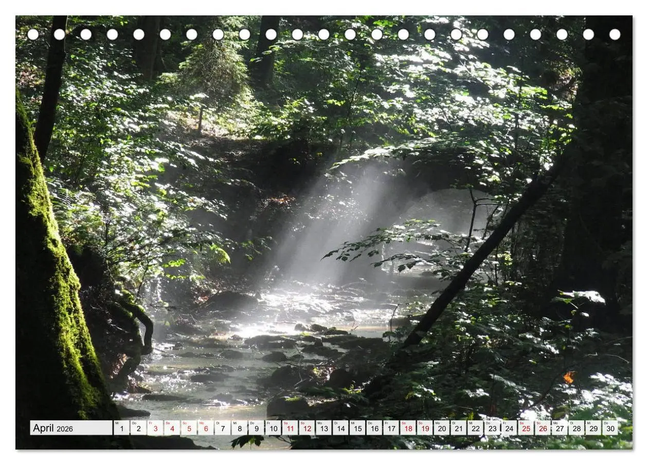 Bild: 9783457901922 | Göttererwachen. Die Natur im mystischen Nebel (Tischkalender 2026...