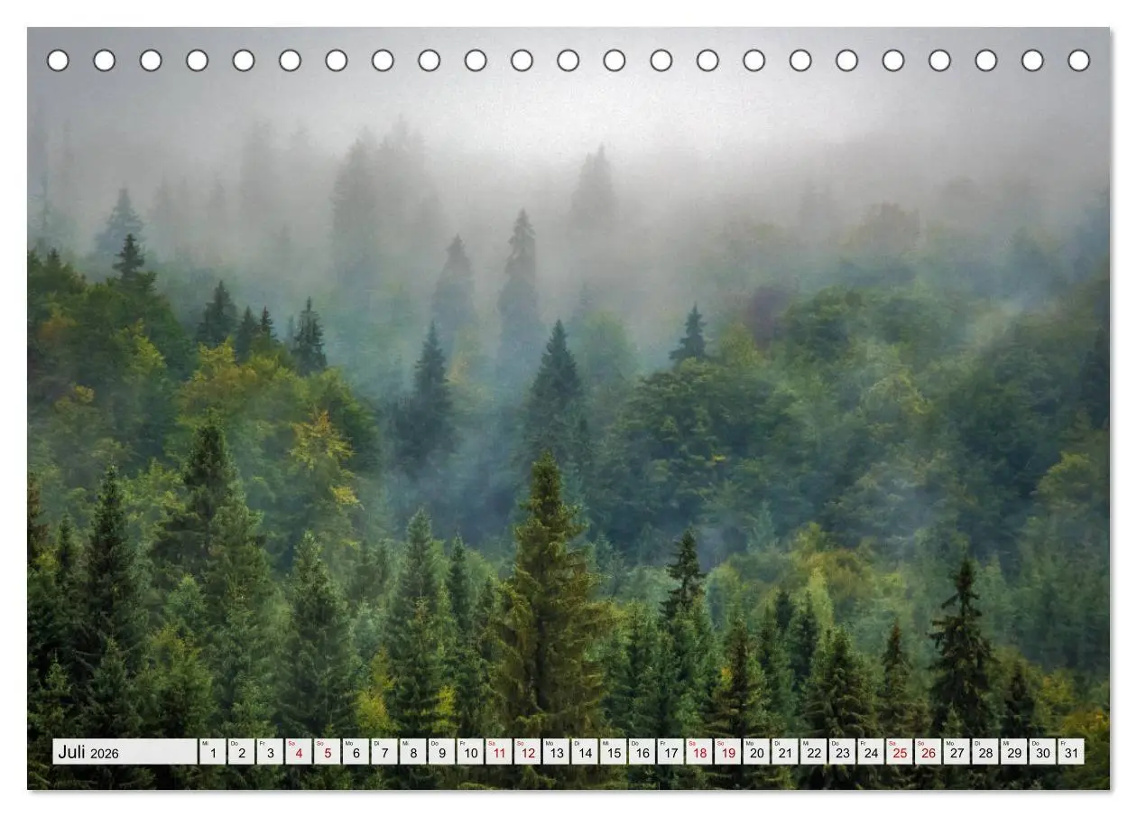 Bild: 9783457901922 | Göttererwachen. Die Natur im mystischen Nebel (Tischkalender 2026...