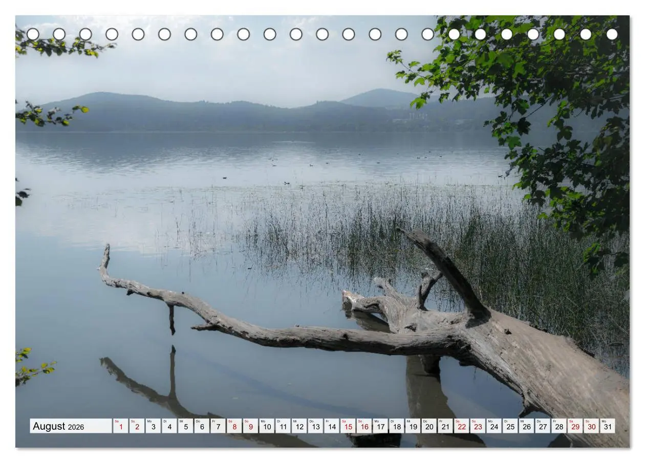 Bild: 9783457901922 | Göttererwachen. Die Natur im mystischen Nebel (Tischkalender 2026...