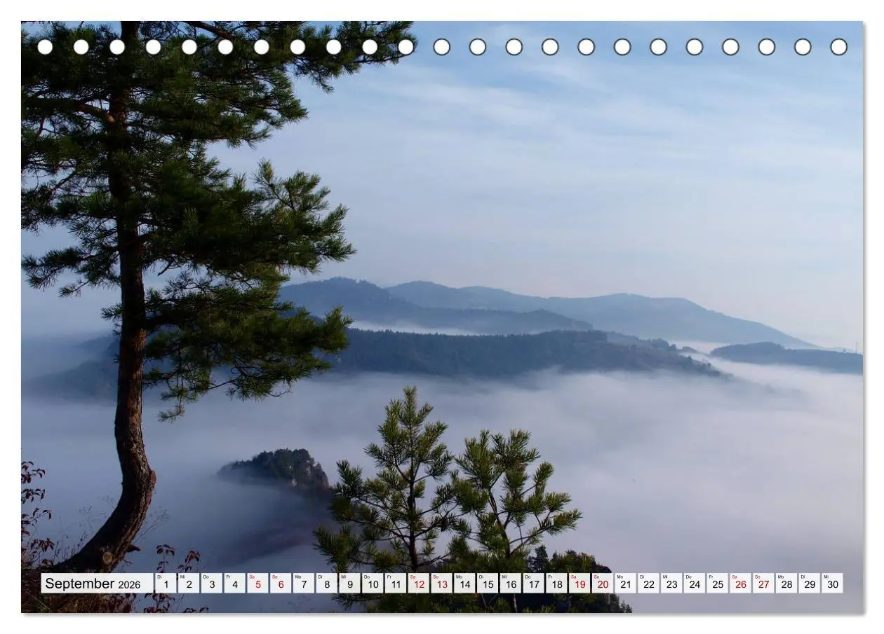 Bild: 9783457901922 | Göttererwachen. Die Natur im mystischen Nebel (Tischkalender 2026...