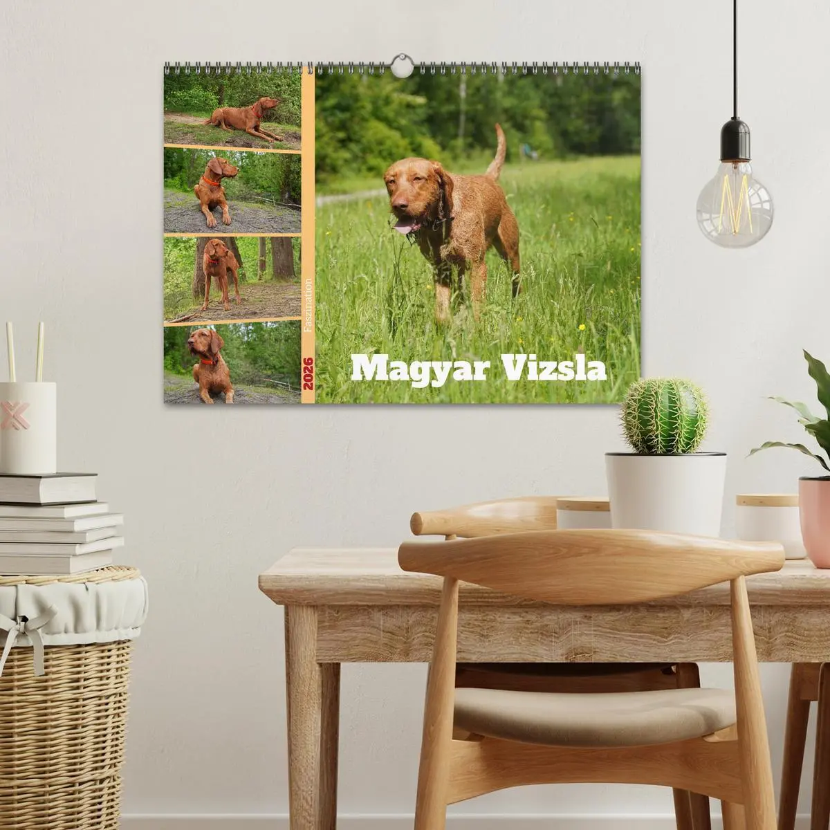 Bild: 9783457582022 | Faszination Magyar Vizsla (Wandkalender 2026 DIN A3 quer), CALVENDO...