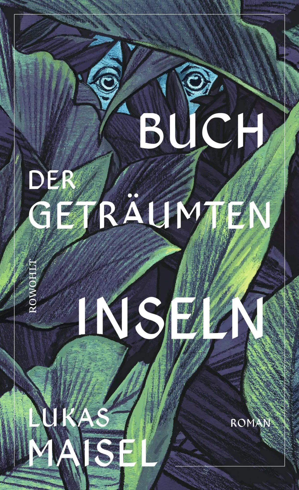 Cover: 9783498002022 | Buch der geträumten Inseln | Lukas Maisel | Buch | 272 S. | Deutsch