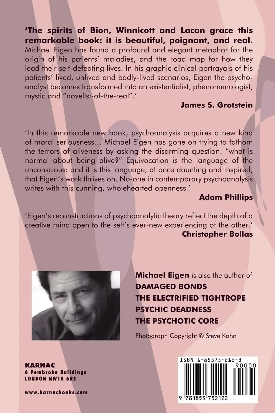 Rückseite: 9781855752122 | Toxic Nourishment | Michael Eigen | Taschenbuch | Englisch | 1999