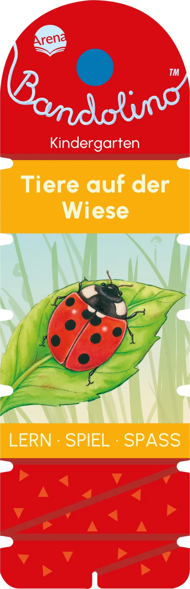 Cover: 9783401722122 | Bandolino. Tiere auf der Wiese | Friederike Barnhusen | Taschenbuch