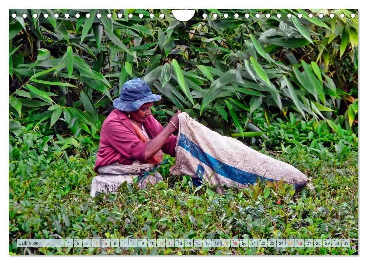 Bild: 9783457952122 | Mauritius - Insel im Indischen Ozean (Wandkalender 2026 DIN A4...