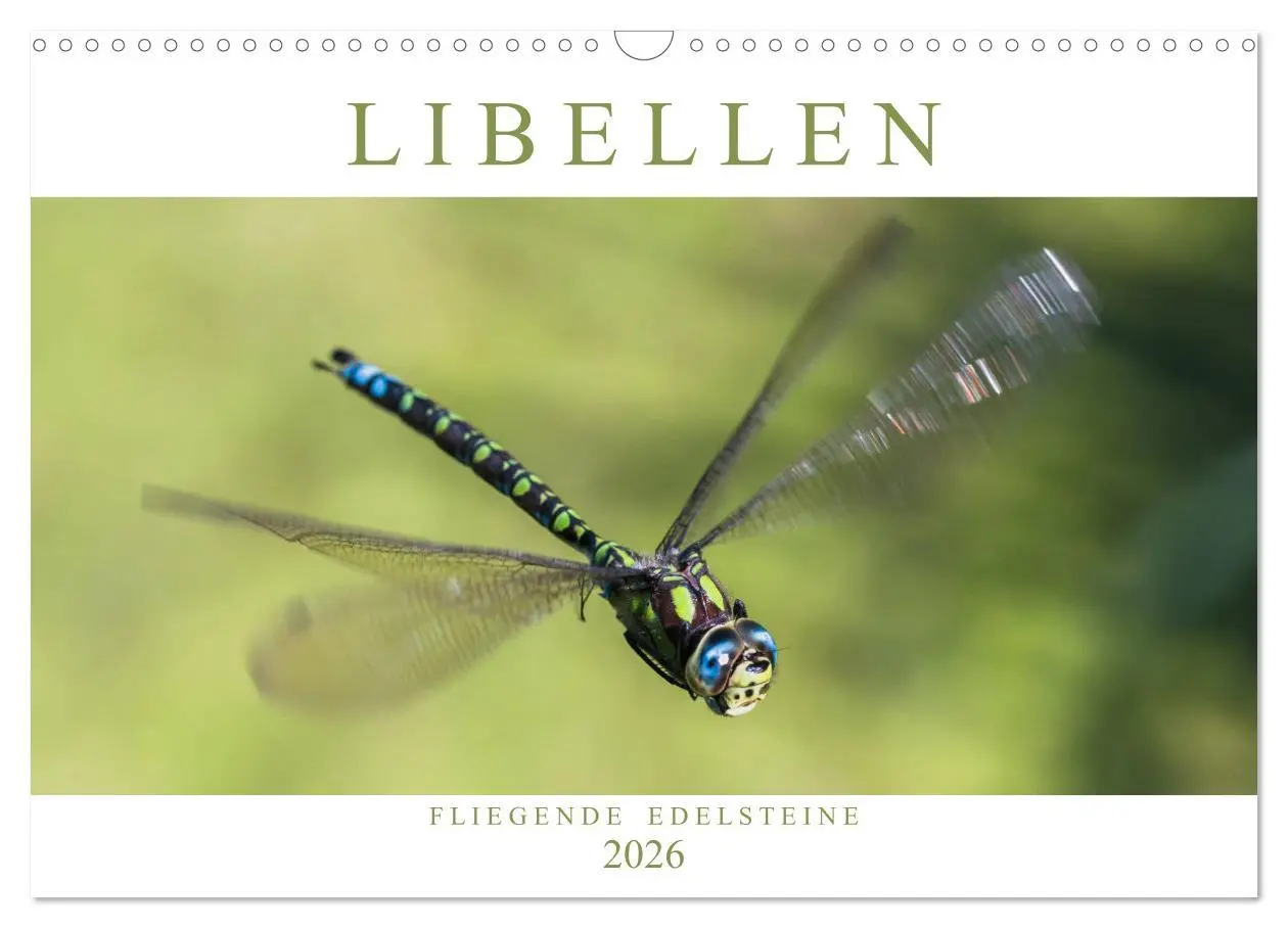 Cover: 9783516112122 | Libellen - Fliegende Edelsteine (Wandkalender 2026 DIN A3 quer),...