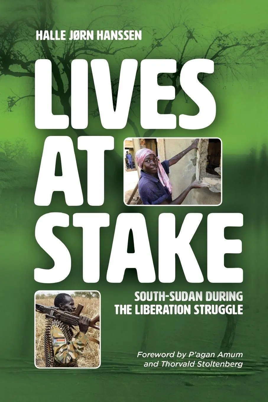 Cover: 9780648242222 | LIVES AT STAKE | South-Sudan during the liberation struggle | Hanssen