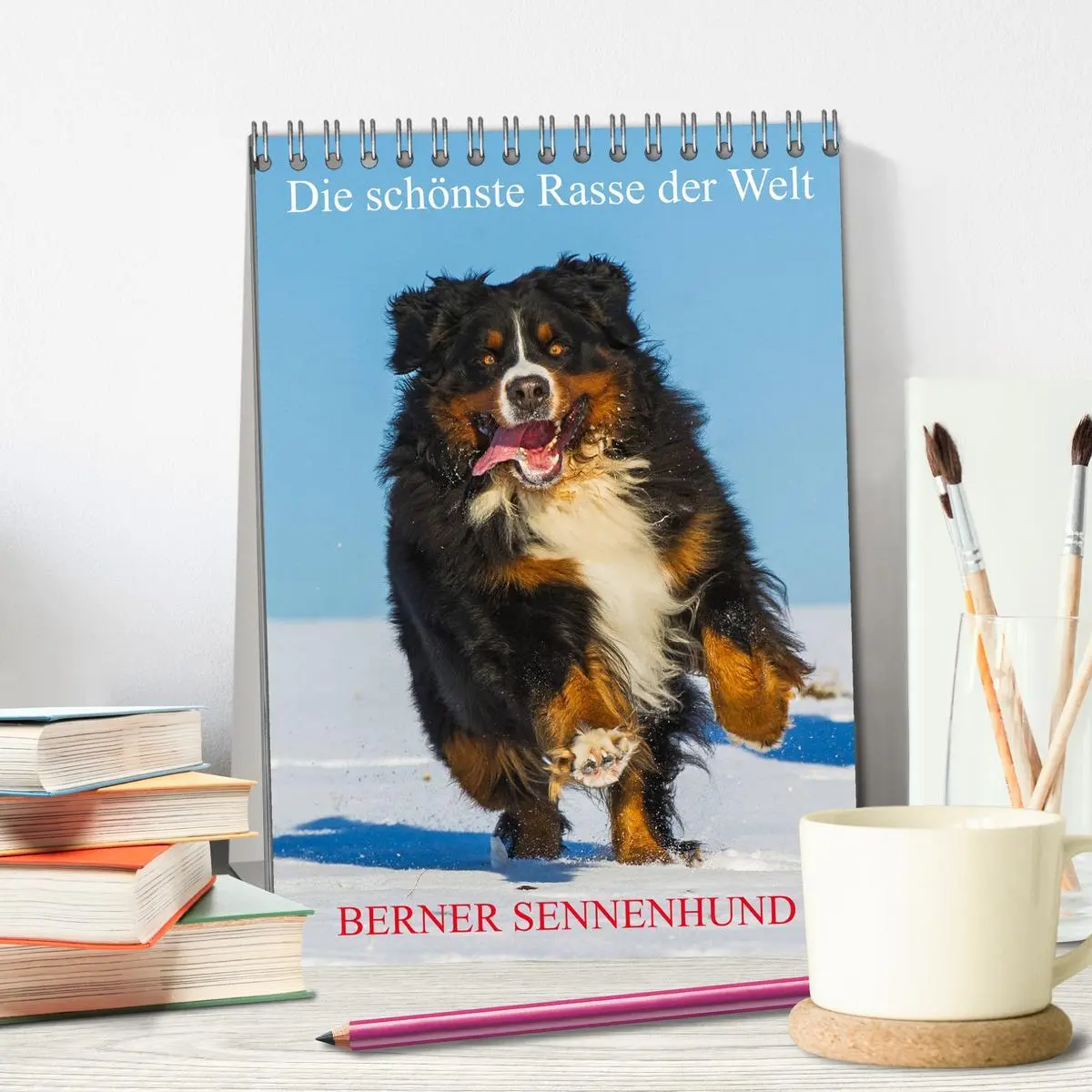 Bild: 9783516412222 | Die schönste Rasse der Welt - Berner Sennenhund (Tischkalender 2026...
