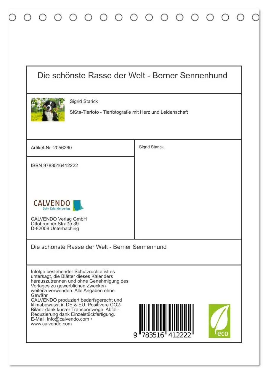 Bild: 9783516412222 | Die schönste Rasse der Welt - Berner Sennenhund (Tischkalender 2026...
