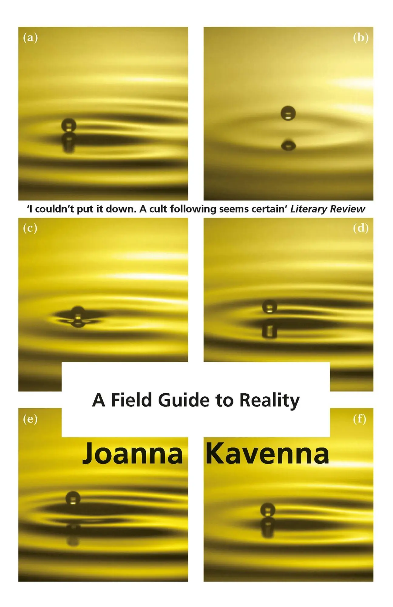 Cover: 9781780872322 | A Field Guide to Reality | Joanna Kavenna | Taschenbuch | Englisch