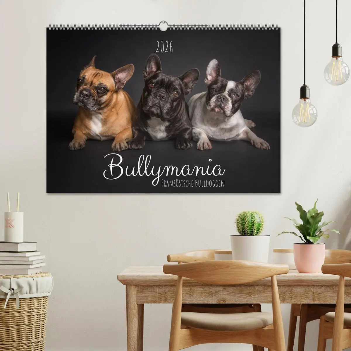 Bild: 9783457622322 | Bullymania - Französische Bulldoggen (Wandkalender 2026 DIN A2...