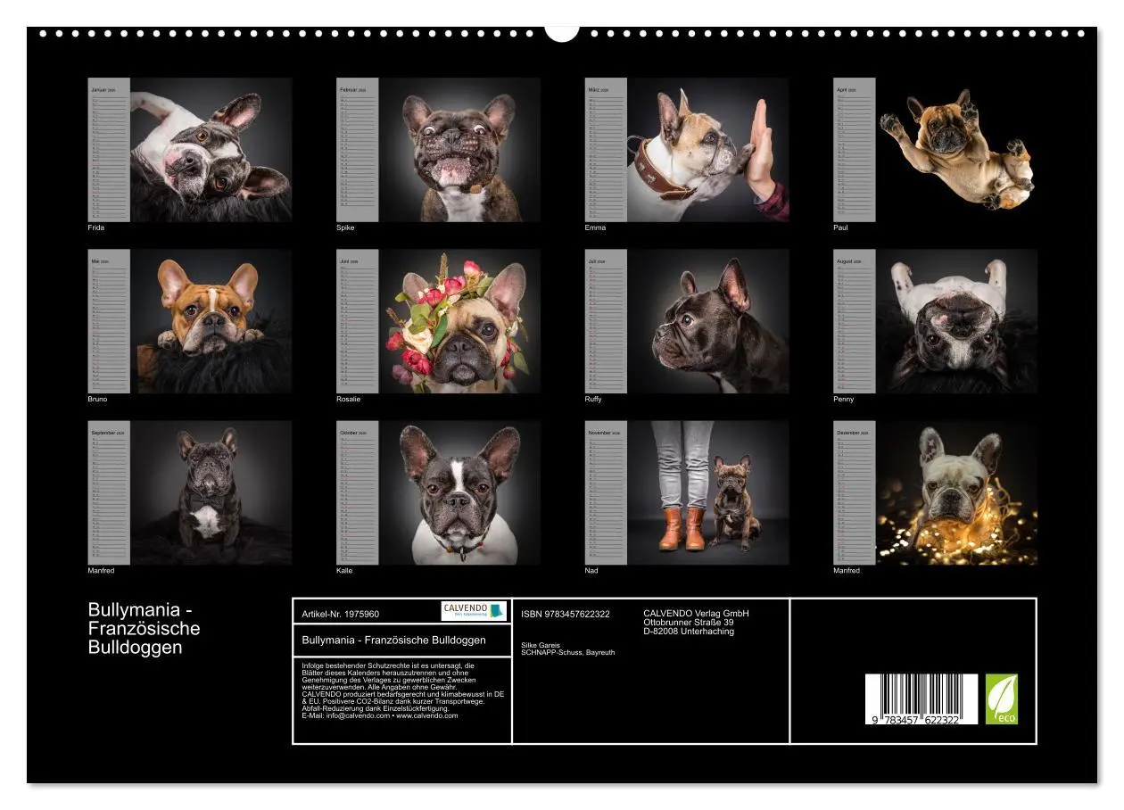 Bild: 9783457622322 | Bullymania - Französische Bulldoggen (Wandkalender 2026 DIN A2...