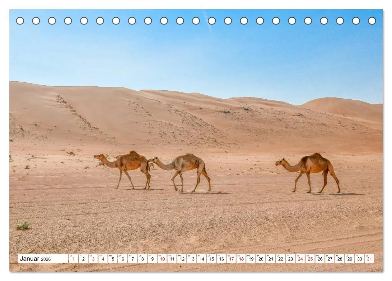 Bild: 9783457792322 | Oman - Perle des Orients (Tischkalender 2026 DIN A5 quer), CALVENDO...