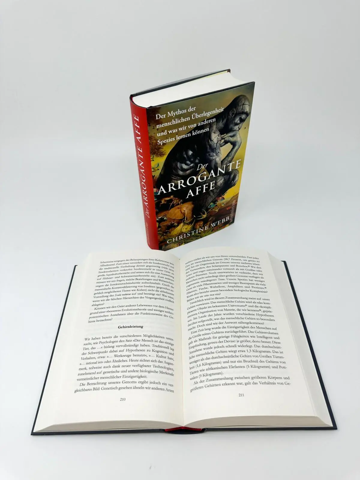 Bild: 9783550202322 | Der arrogante Affe | Christine Webb | Buch | 432 S. | Deutsch | 2026