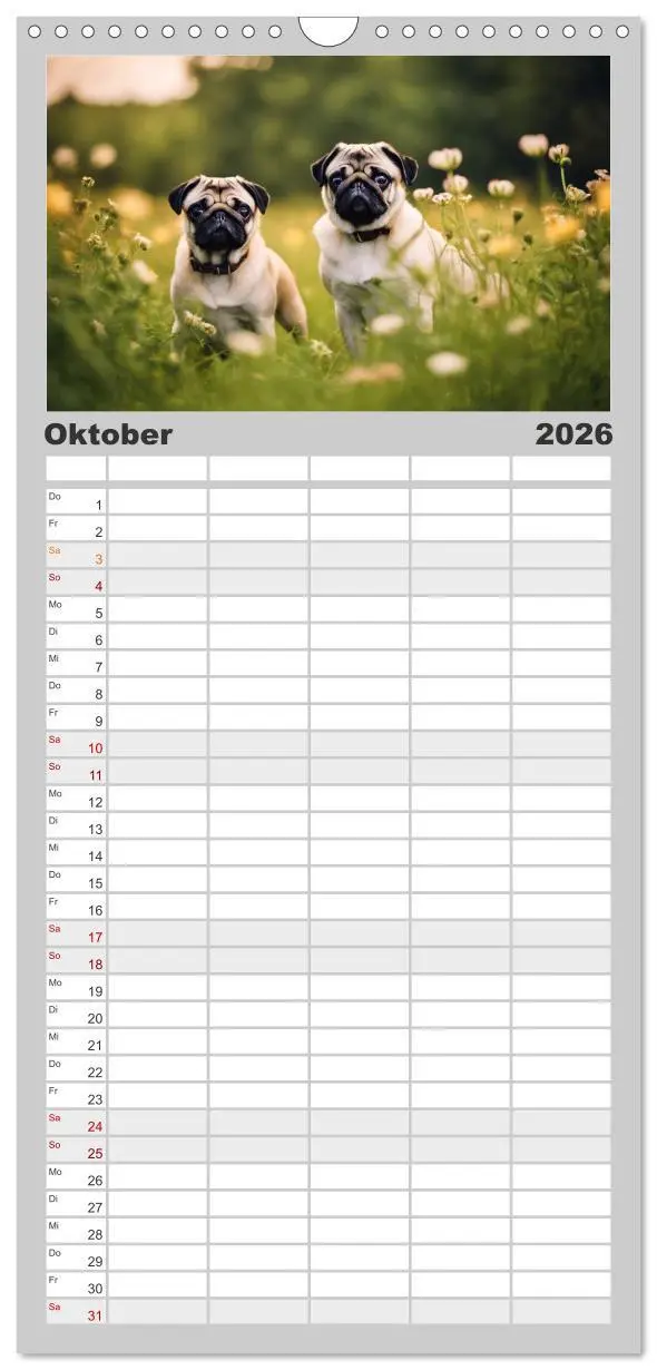 Bild: 9783516492422 | Familienplaner 2026 - Möpse - quirlige Charmebolzen mit 5 Spalten...