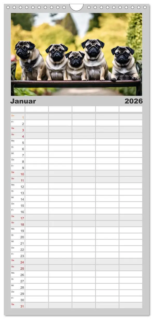 Bild: 9783516492422 | Familienplaner 2026 - Möpse - quirlige Charmebolzen mit 5 Spalten...