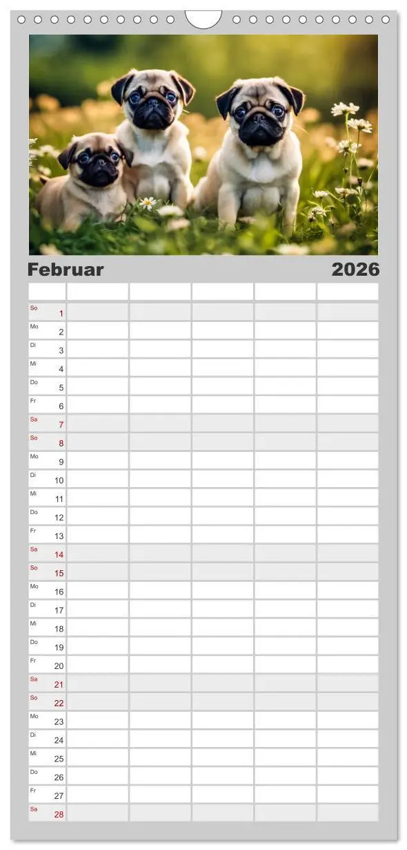 Bild: 9783516492422 | Familienplaner 2026 - Möpse - quirlige Charmebolzen mit 5 Spalten...