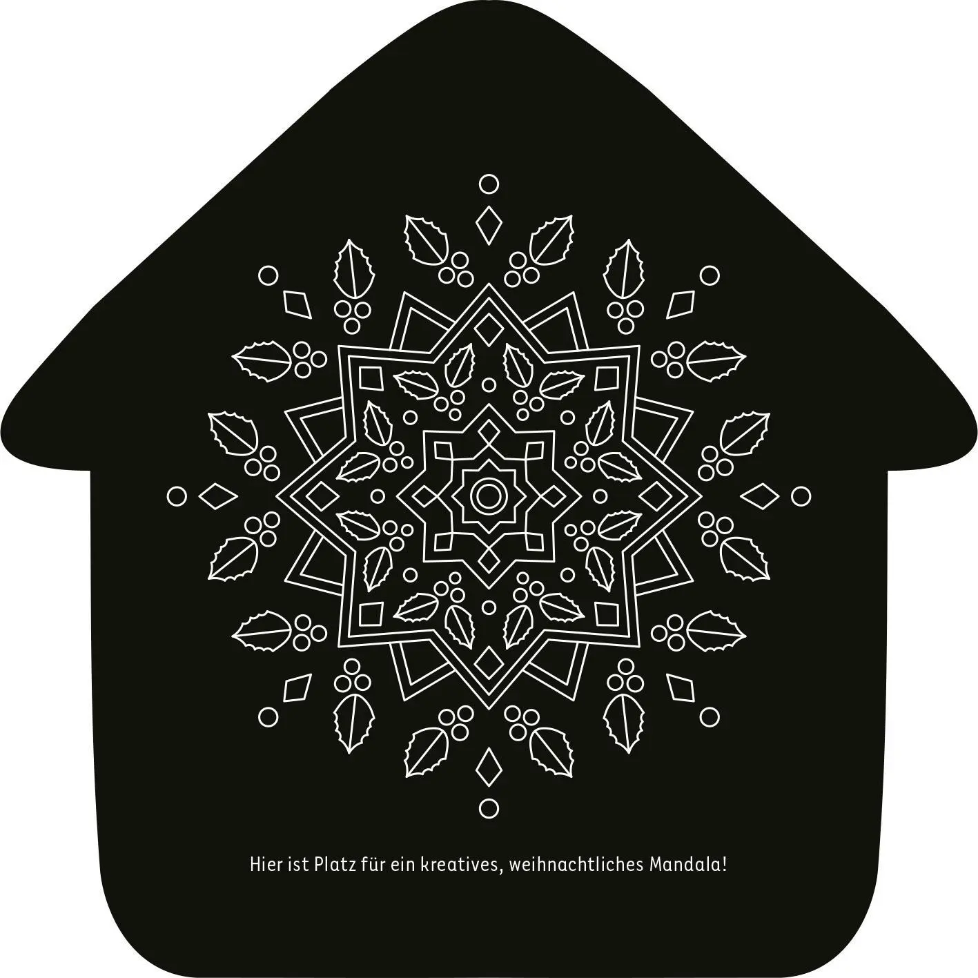 Bild: 9783845862422 | Mein Kritzkratz-Adventskalender | 24 x Kritzelspaß | Taschenbuch