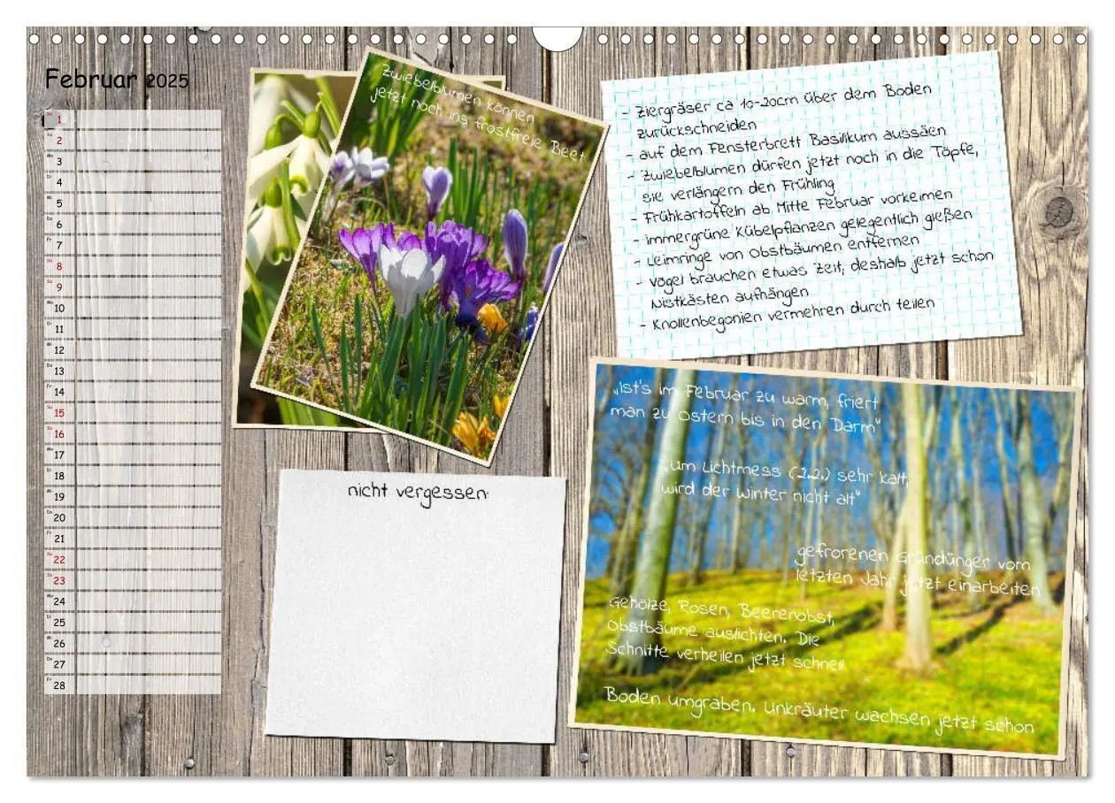 Bild: 9783435132522 | Was ist noch im Garten zu tun? (Wandkalender 2025 DIN A3 quer),...