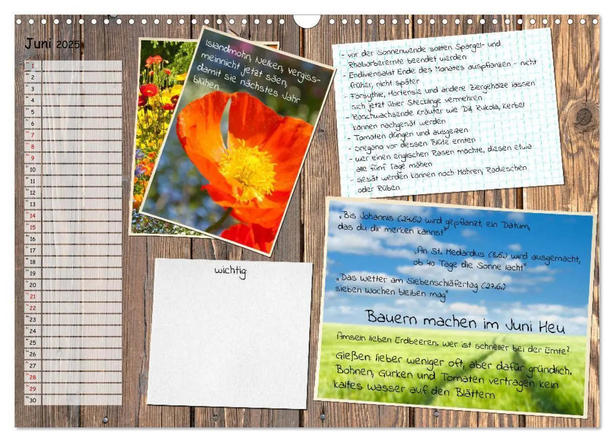 Bild: 9783435132522 | Was ist noch im Garten zu tun? (Wandkalender 2025 DIN A3 quer),...