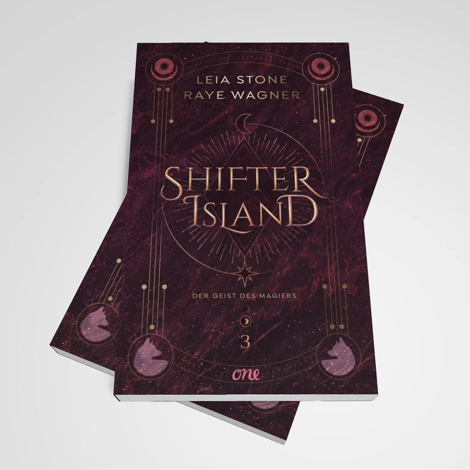 Bild: 9783846602522 | Shifter Island - Der Geist des Magiers | Leia Stone (u. a.) | Buch