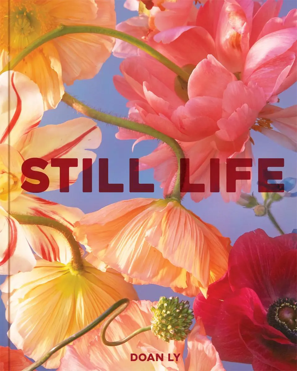 Cover: 9781797222622 | Still Life | Doan Ly | Buch | Gebunden | Englisch | 2023