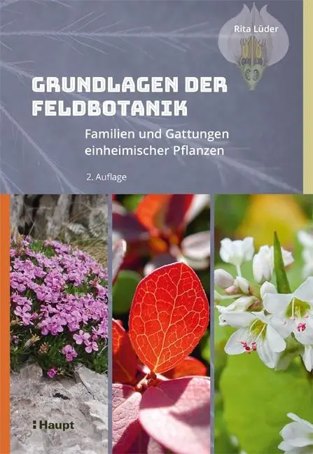 Cover: 9783258082622 | Grundlagen der Feldbotanik | Rita Lüder | Buch | 880 S. | Deutsch