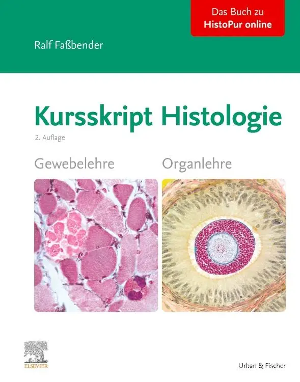Cover: 9783437412622 | Kursskript Histologie | Ralf Faßbender | Taschenbuch | Spiralbindung