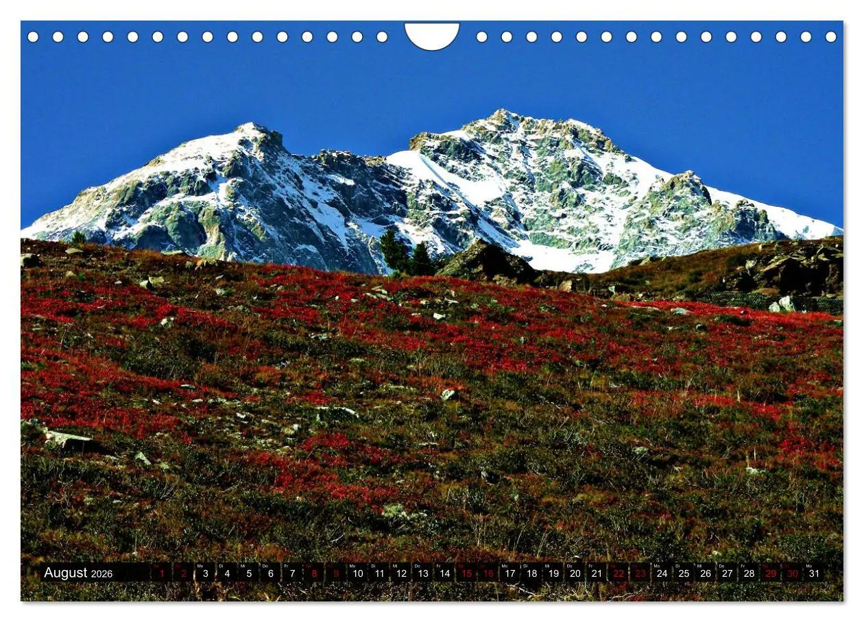 Bild: 9783457902622 | König Ortler - der etwas andere Berg (Wandkalender 2026 DIN A4...