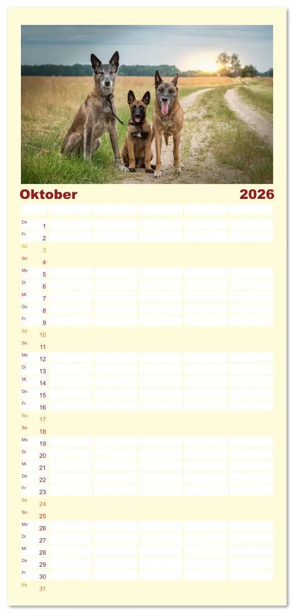 Bild: 9783516612622 | Familienplaner 2026 - Traumhund Malinois mit 5 Spalten...