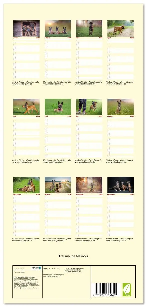 Bild: 9783516612622 | Familienplaner 2026 - Traumhund Malinois mit 5 Spalten...