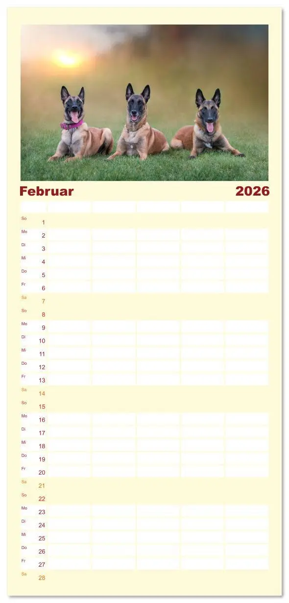 Bild: 9783516612622 | Familienplaner 2026 - Traumhund Malinois mit 5 Spalten...