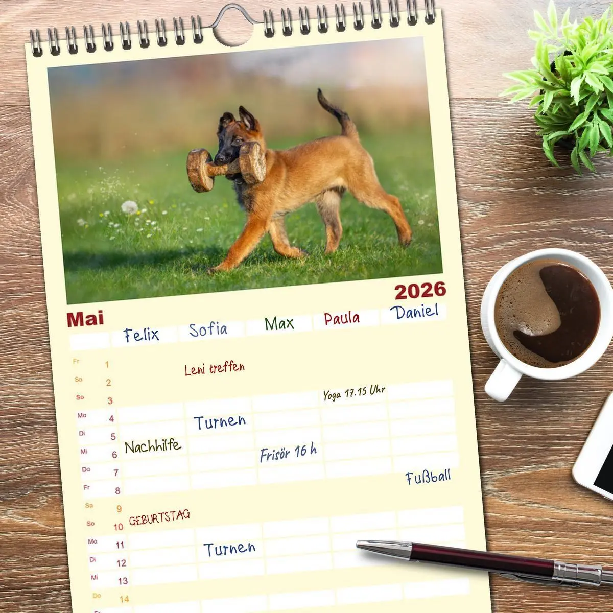 Bild: 9783516612622 | Familienplaner 2026 - Traumhund Malinois mit 5 Spalten...