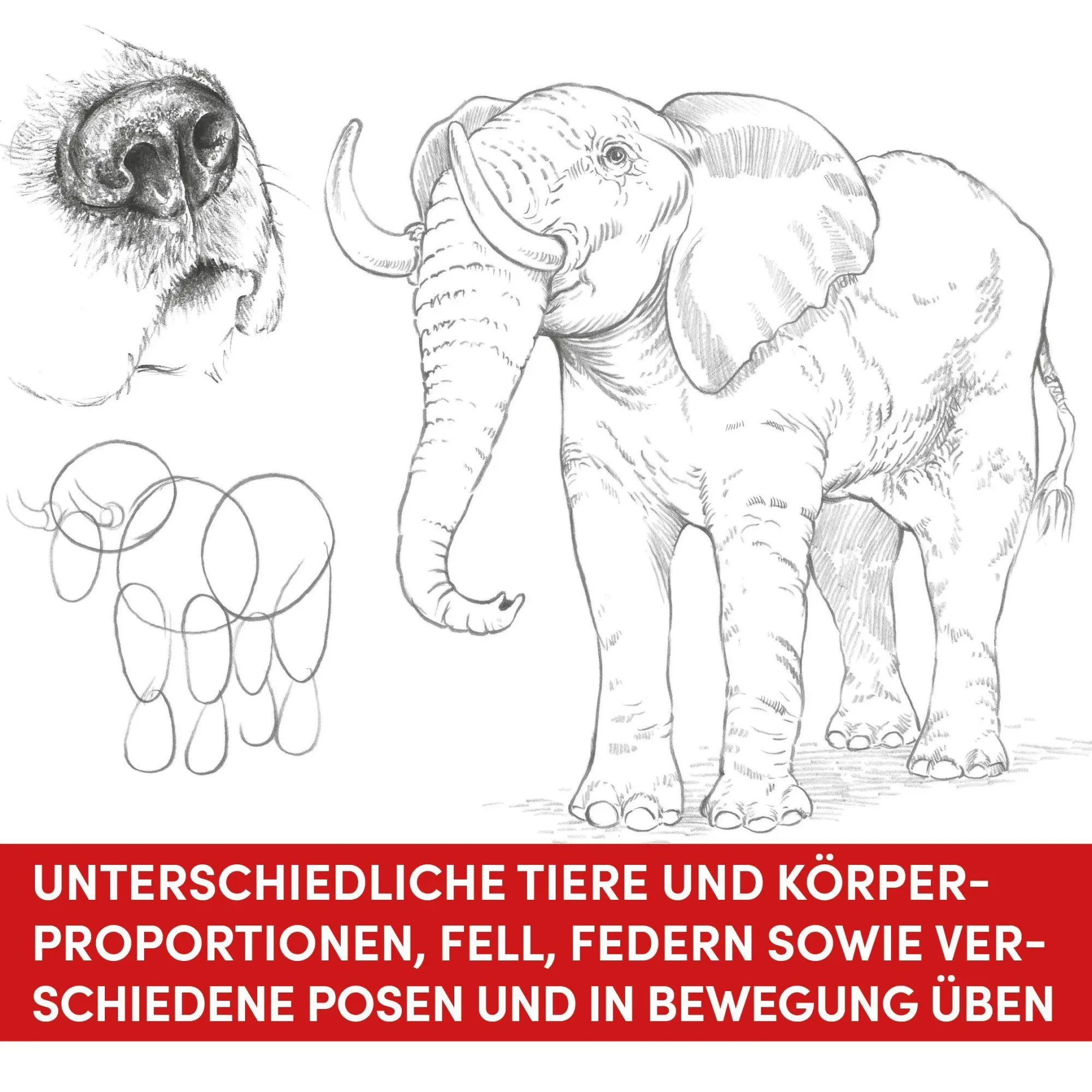 Bild: 9783735882622 | Die Kunst des Zeichnens Übungsbuch - Tiere. Mit neuem Trainingskonzept