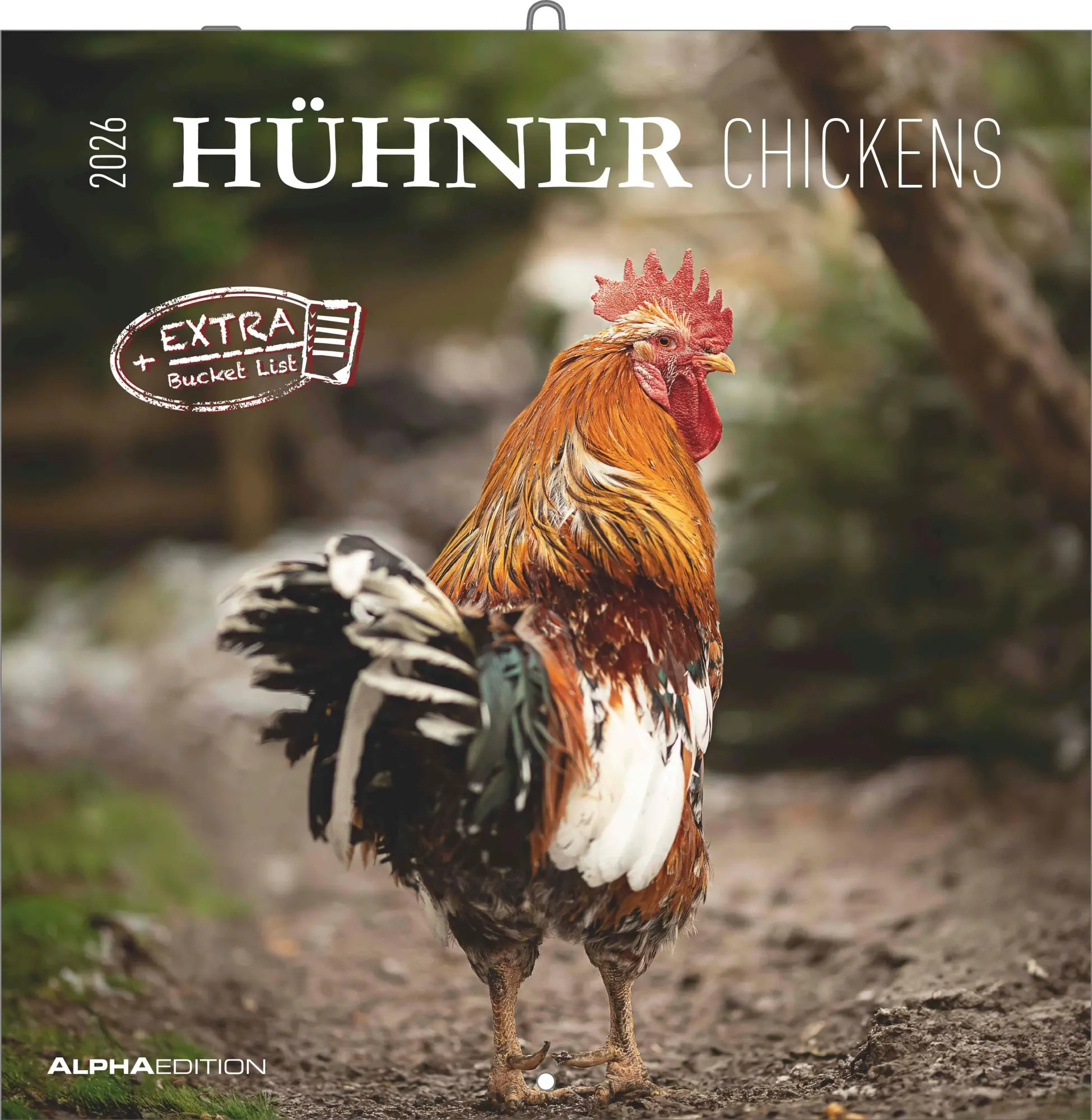 Cover: 4069095002722 | Hühner 2026 - Broschürenkalender 30x30 cm (30x60 geöffnet) -...