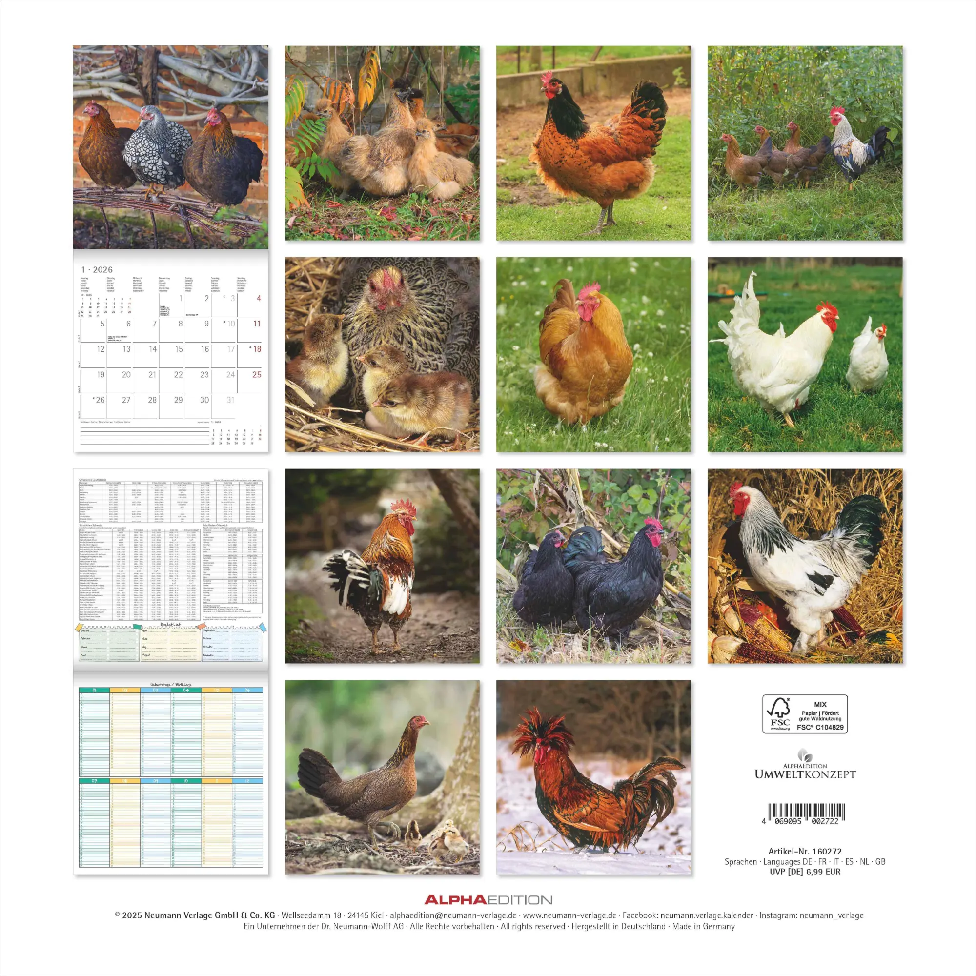 Bild: 4069095002722 | Hühner 2026 - Broschürenkalender 30x30 cm (30x60 geöffnet) -...