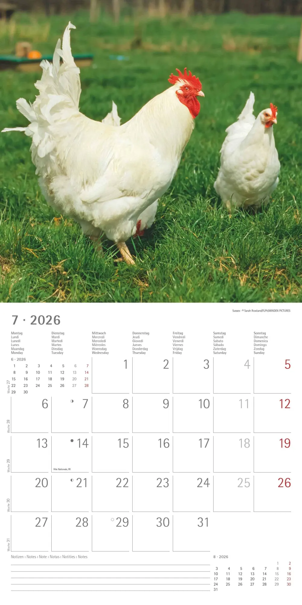 Bild: 4069095002722 | Hühner 2026 - Broschürenkalender 30x30 cm (30x60 geöffnet) -...