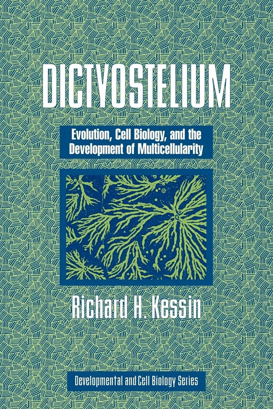 Cover: 9780521152822 | Dictyostelium | Richard H. Kessin | Taschenbuch | Englisch | 2010