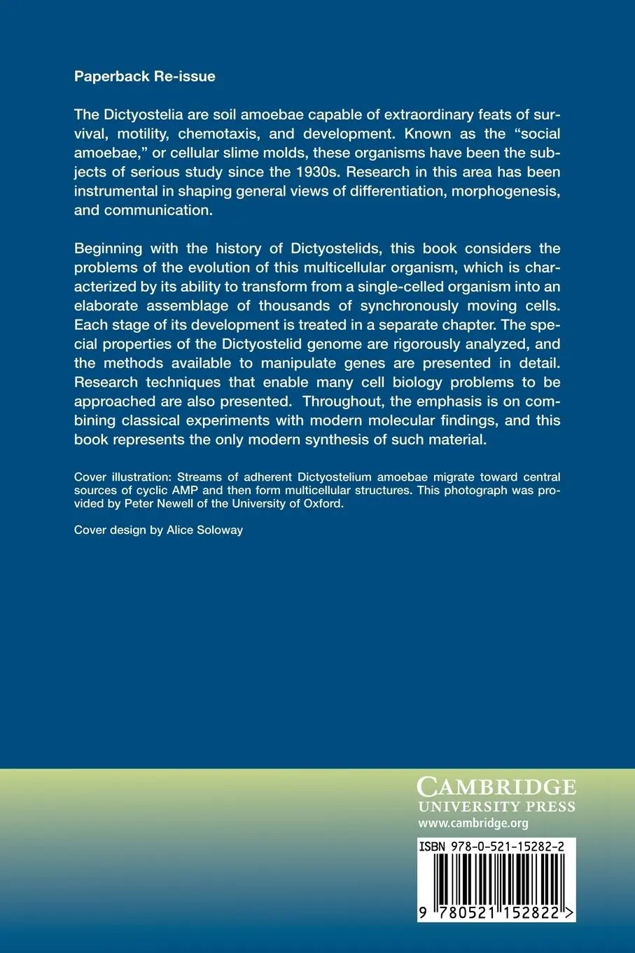 Rückseite: 9780521152822 | Dictyostelium | Richard H. Kessin | Taschenbuch | Englisch | 2010