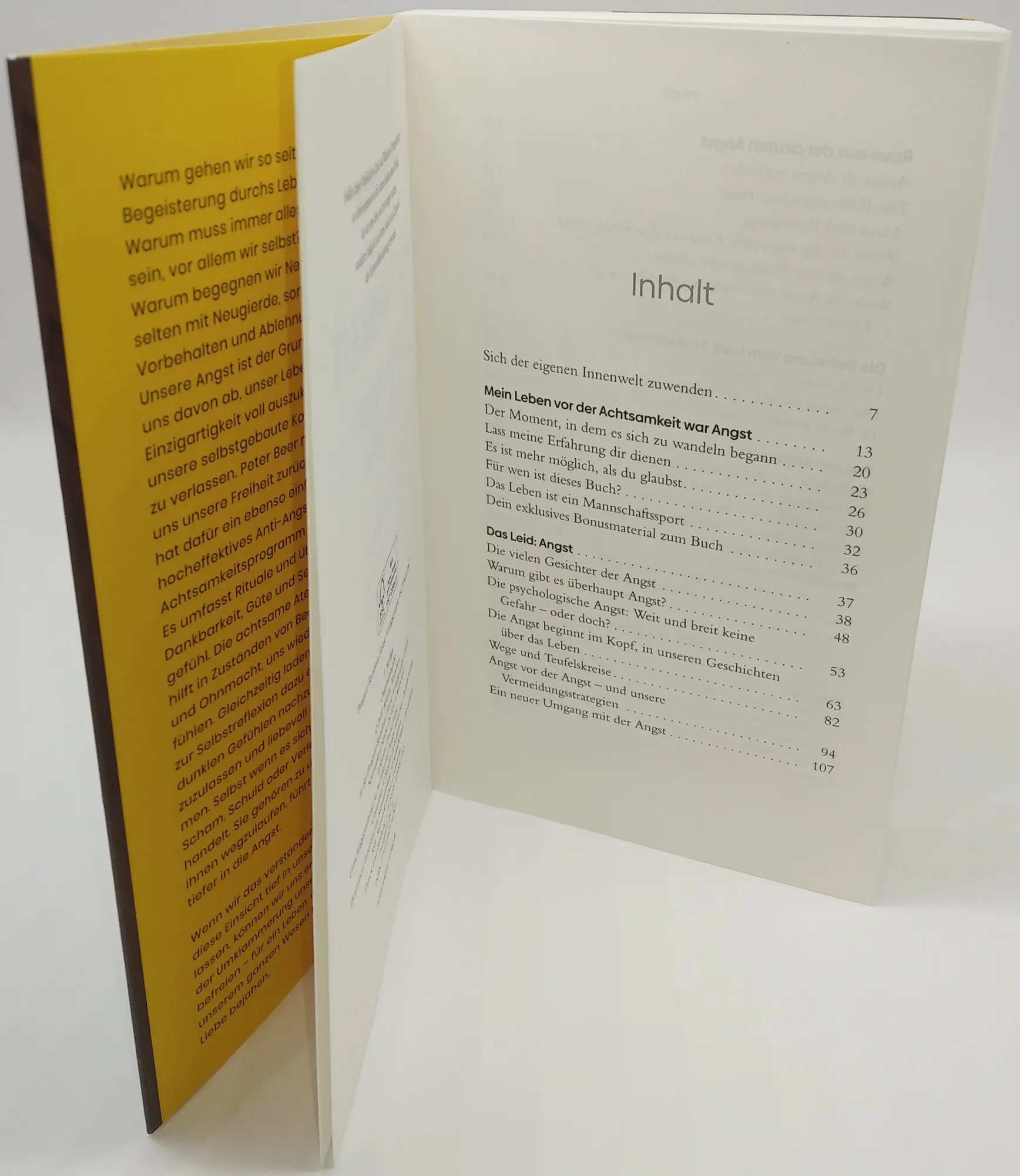 Bild: 9783442342822 | Achtsamkeit statt Angst und Panik | Peter Beer | Taschenbuch | 288 S.
