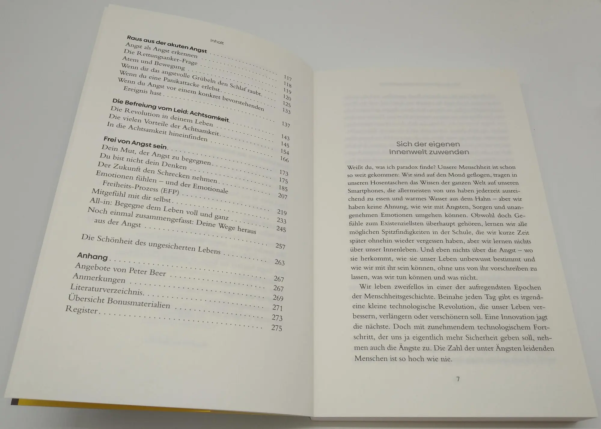 Bild: 9783442342822 | Achtsamkeit statt Angst und Panik | Peter Beer | Taschenbuch | 288 S.
