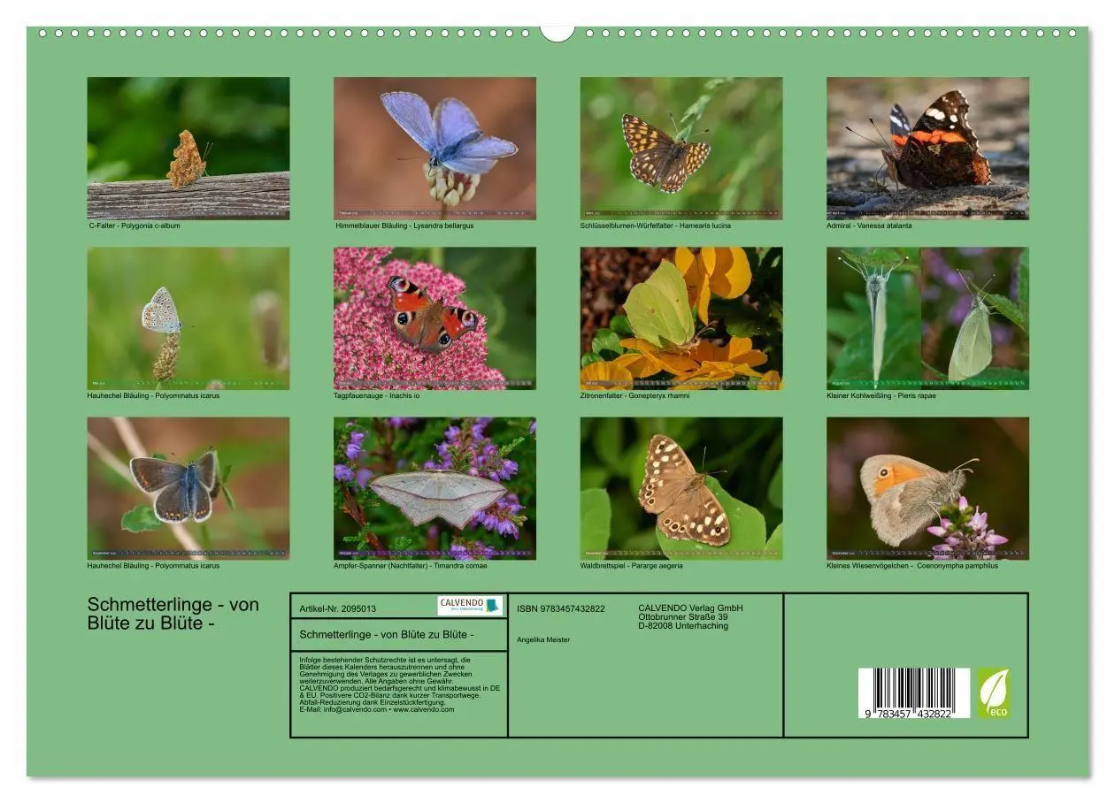 Bild: 9783457432822 | Schmetterlinge - von Blüte zu Blüte - (hochwertiger Premium...