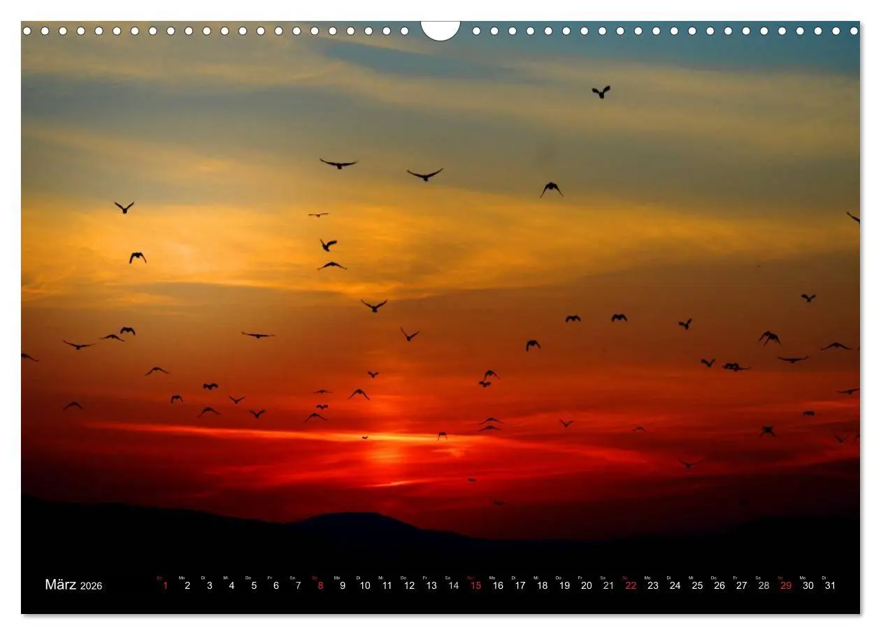Bild: 9783516142822 | Sonnenuntergänge ¿ Traumhafte Farbspiele (Wandkalender 2026 DIN A3...